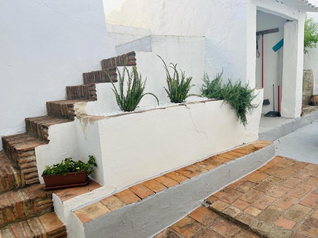 Casa Rural Dona Catalina Jimena de la Frontera Kültér fotó